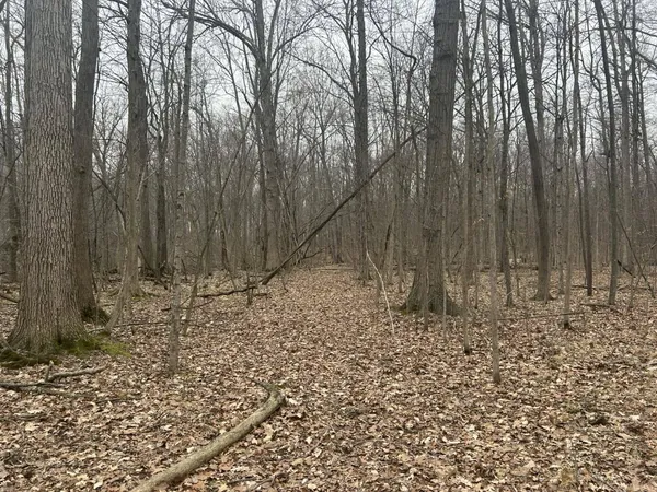 $350,000 | South Pittsford Road, Pittsford, MI 49271