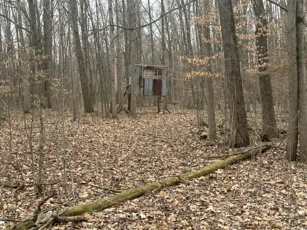 $350,000 | South Pittsford Road, Pittsford, MI 49271