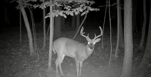 $350,000 | South Pittsford Road, Pittsford, MI 49271