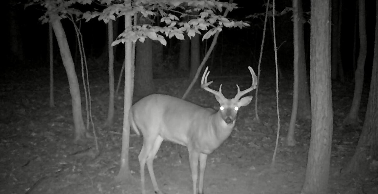 South Pittsford Road Pittsford, MI 49271 - Photo 3 of 25 Pittrd3