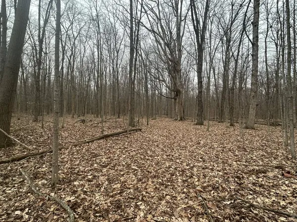 $350,000 | South Pittsford Road, Pittsford, MI 49271