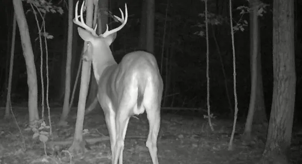 $350,000 | South Pittsford Road, Pittsford, MI 49271