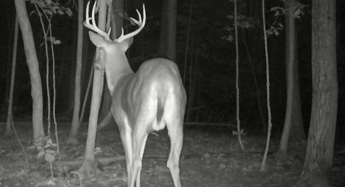 South Pittsford Road Pittsford, MI 49271 - Photo 5 of 25 Pittrd4