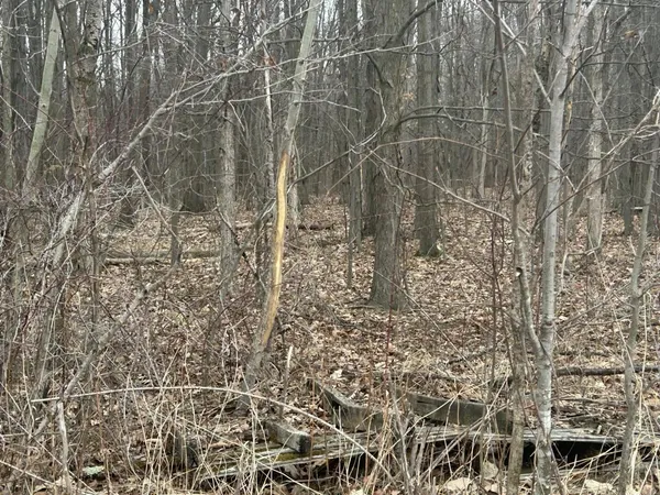 $350,000 | South Pittsford Road, Pittsford, MI 49271