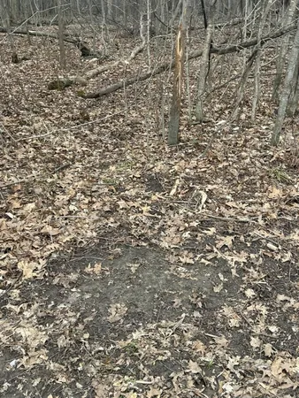 $350,000 | South Pittsford Road, Pittsford, MI 49271