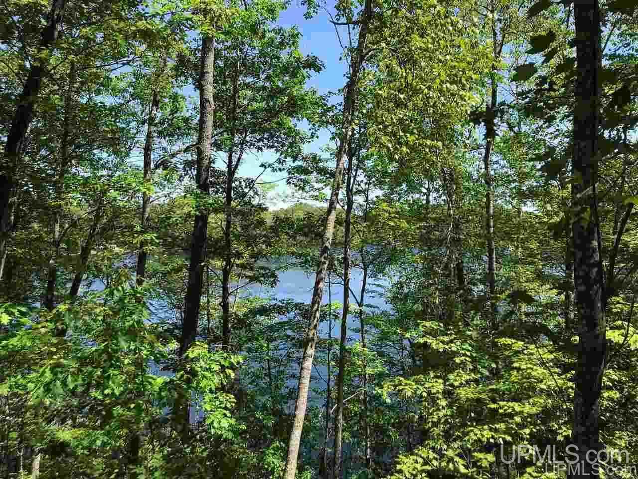 T-wi Lake Anna Road Florence, WI 54121 - Photo 3 of 13