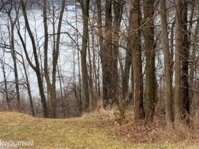 0 Skinner Lake Road Lapeer, MI 48446 - Photo 1 of 1 Gallery Image 1