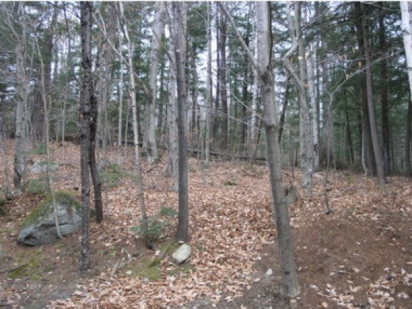 19-3 Osseo Road, Unit 193 Lincoln, NH 03251 - Photo 19 of 28 Gallery Image 19