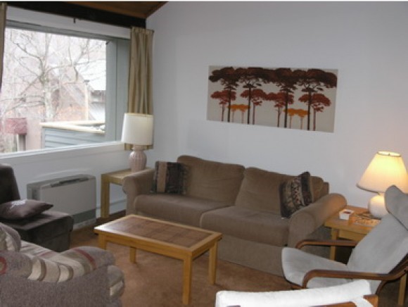 19-3 Osseo Road, Unit 193 Lincoln, NH 03251 - Photo 5 of 28 Gallery Image 5