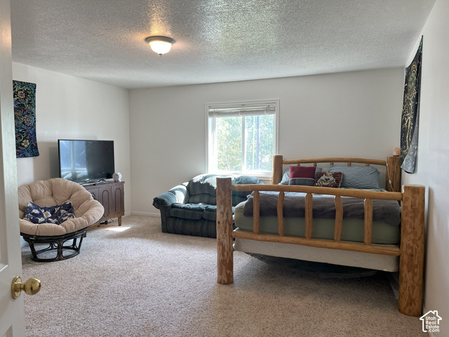 750 South Big Road Soda Springs, ID 83276 - Photo 30 of 40 Wall-to-wall carpeting with a neutral finish, a single window, and a ceiling-mounted light fixture