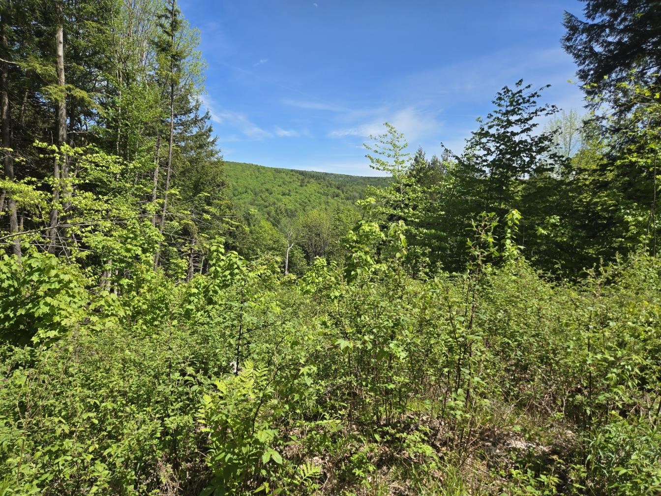 0 Vt Route, Unit LOT 2 Bethel, VT 05032 - Photo 8 of 11