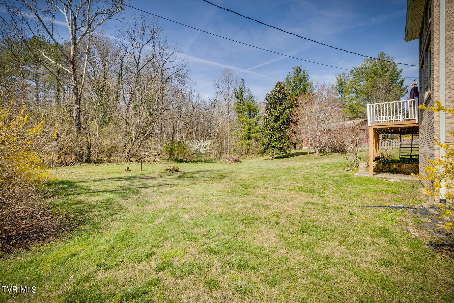125 Rippling Run Road Kingsport, TN 37663 - Photo 50 of 61 Backyard