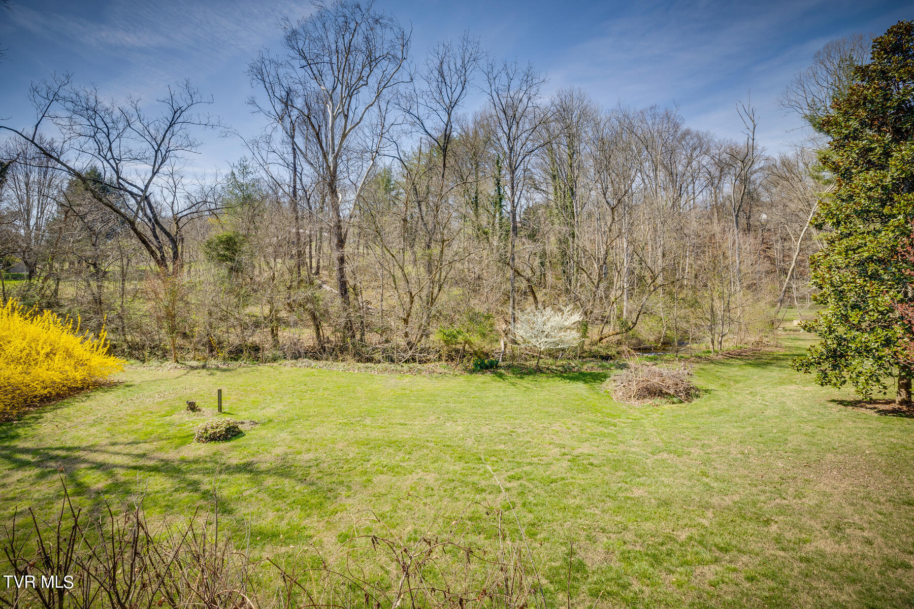 125 Rippling Run Road Kingsport, TN 37663 - Photo 55 of 61 Backyard