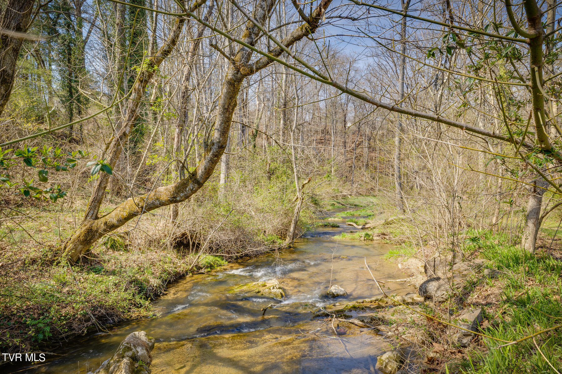 125 Rippling Run Road Kingsport, TN 37663 - Photo 56 of 61 Creek in Backyard