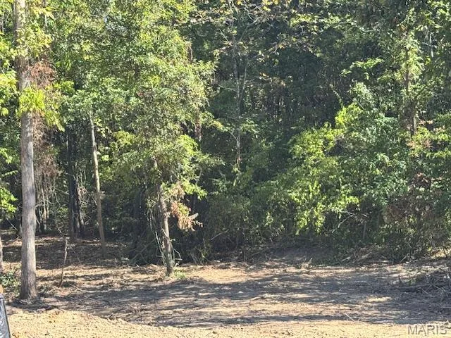 $125,000 | 109 Elizabeth Court, Wright City, MO 63390