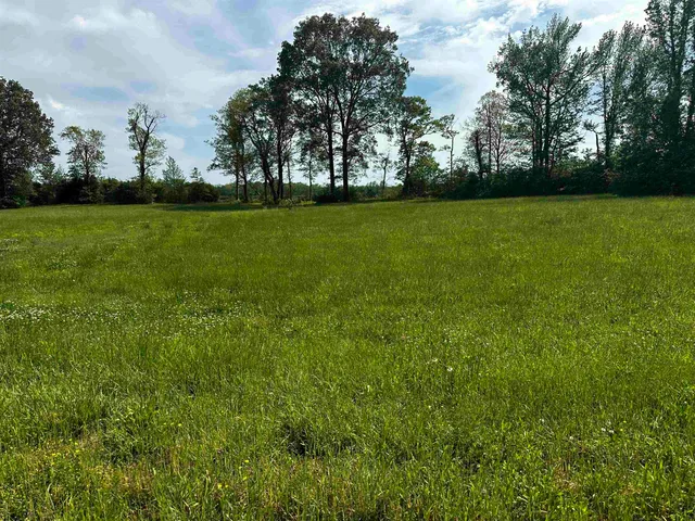a view of a green field with trees in the background