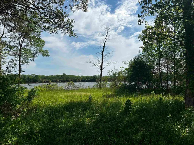 a view of a lake with a yard