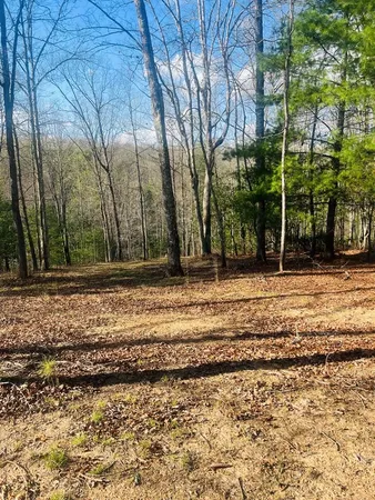 $39,000 | 0 Ford Lane, Murphy, NC 28906
