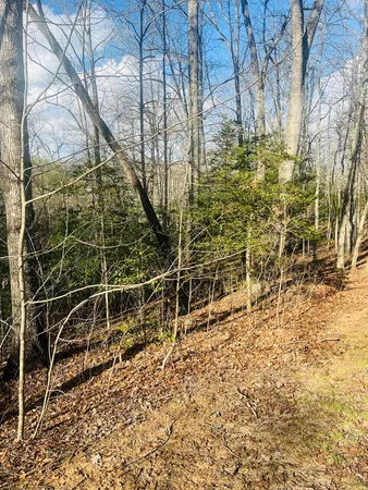 $39,000 | 0 Ford Lane, Murphy, NC 28906