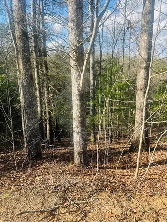 $39,000 | 0 Ford Lane, Murphy, NC 28906