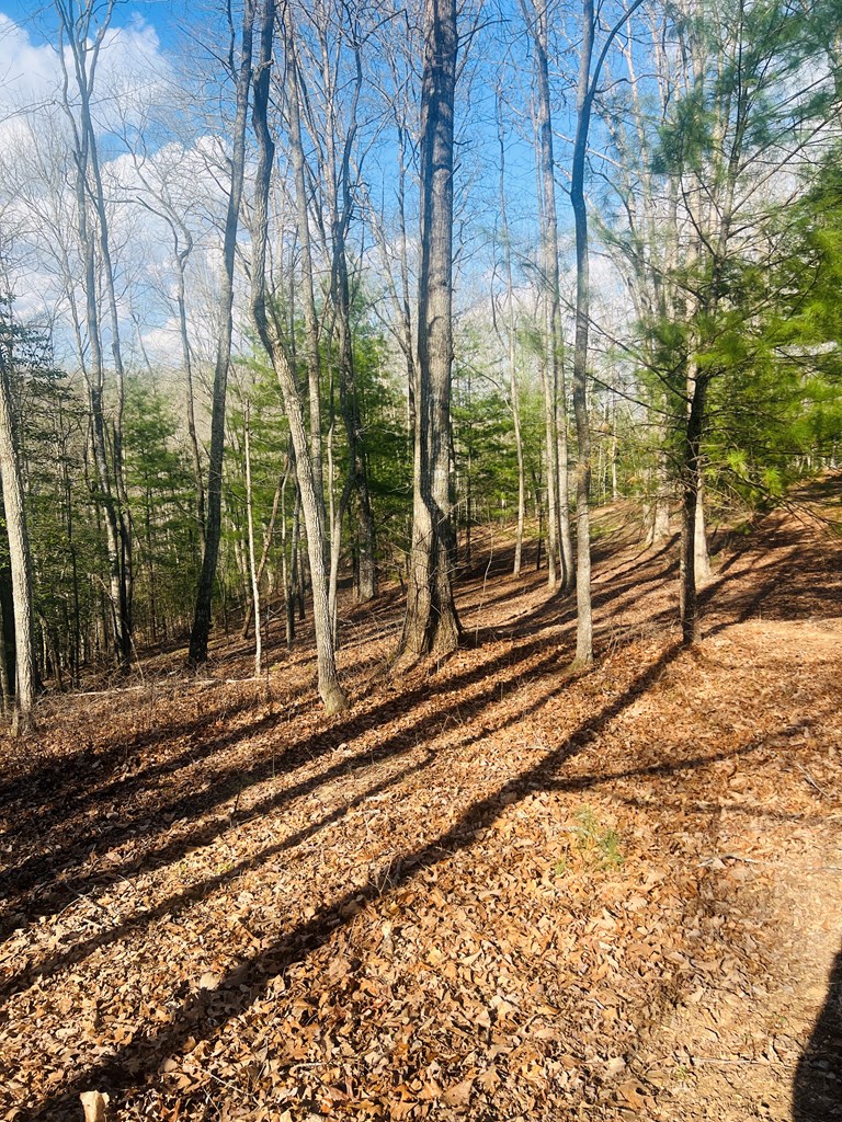 0 Ford Lane Murphy, NC 28906 - Photo 13 of 20