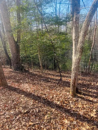 $39,000 | 0 Ford Lane, Murphy, NC 28906