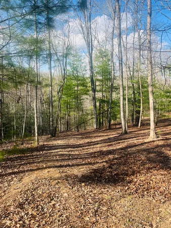 $39,000 | 0 Ford Lane, Murphy, NC 28906