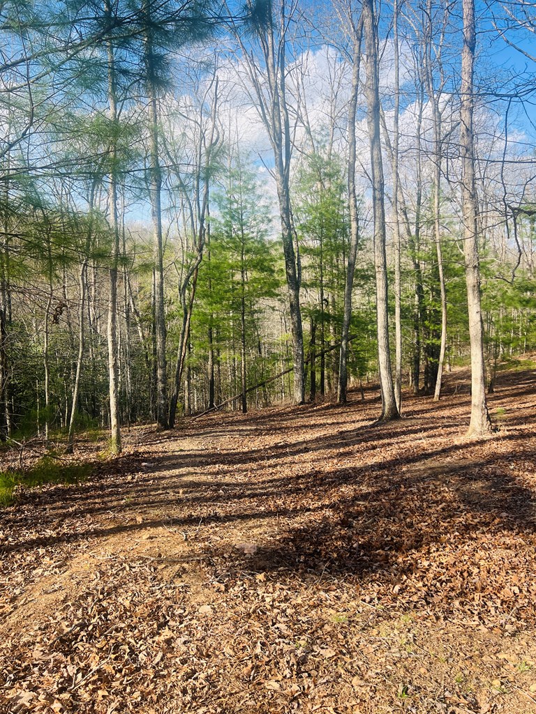 0 Ford Lane Murphy, NC 28906 - Photo 16 of 20