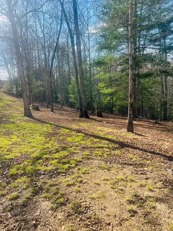 $39,000 | 0 Ford Lane, Murphy, NC 28906