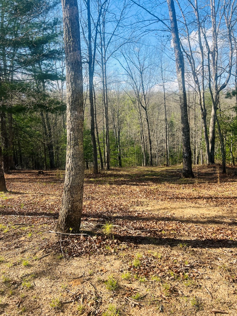 0 Ford Lane Murphy, NC 28906 - Photo 19 of 20