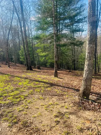 $39,000 | 0 Ford Lane, Murphy, NC 28906