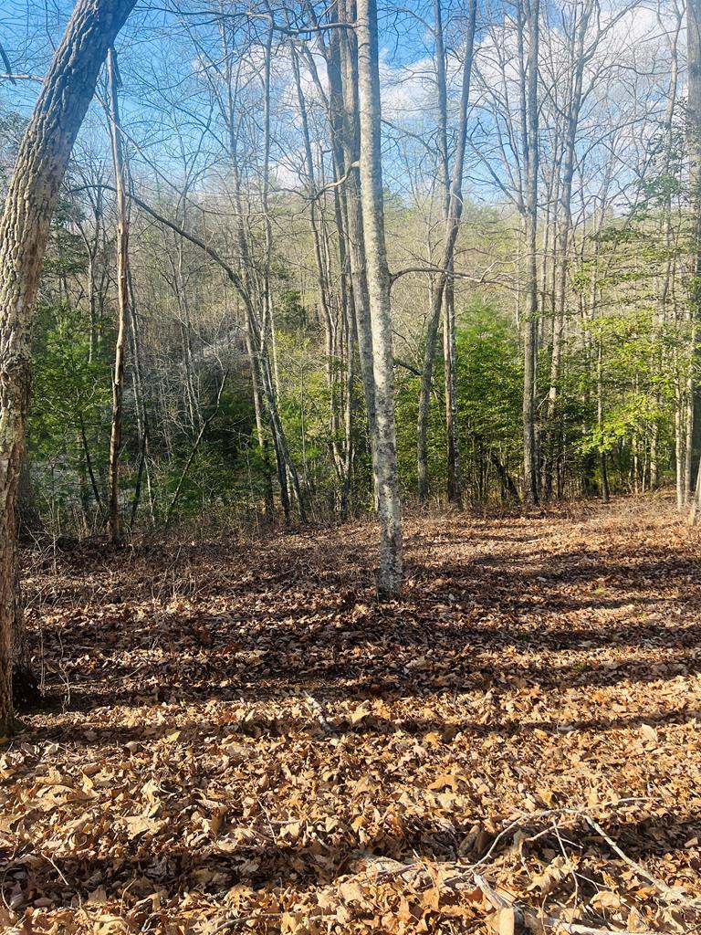 0 Ford Lane Murphy, NC 28906 - Photo 2 of 20