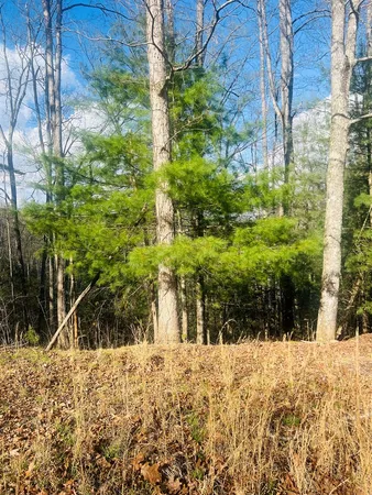 $39,000 | 0 Ford Lane, Murphy, NC 28906