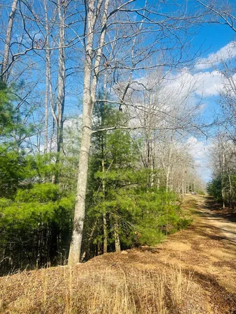 $39,000 | 0 Ford Lane, Murphy, NC 28906