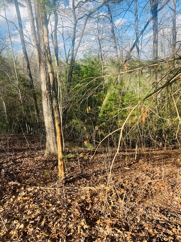 0 Ford Lane Murphy, NC 28906 - Photo 5 of 20