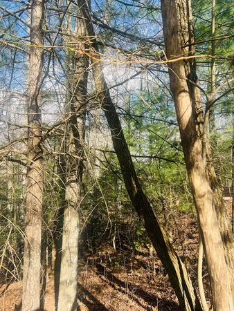 $39,000 | 0 Ford Lane, Murphy, NC 28906