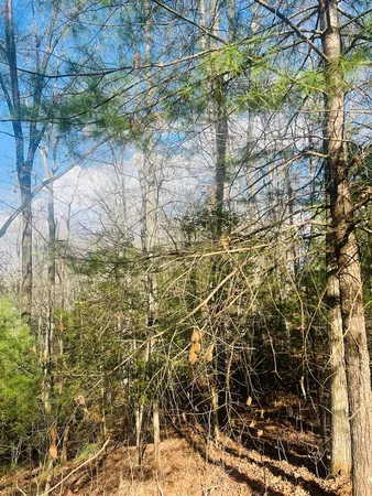 $39,000 | 0 Ford Lane, Murphy, NC 28906