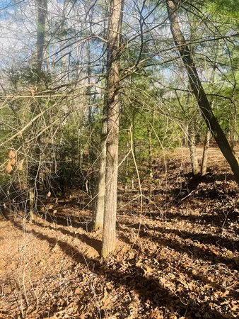 $39,000 | 0 Ford Lane, Murphy, NC 28906