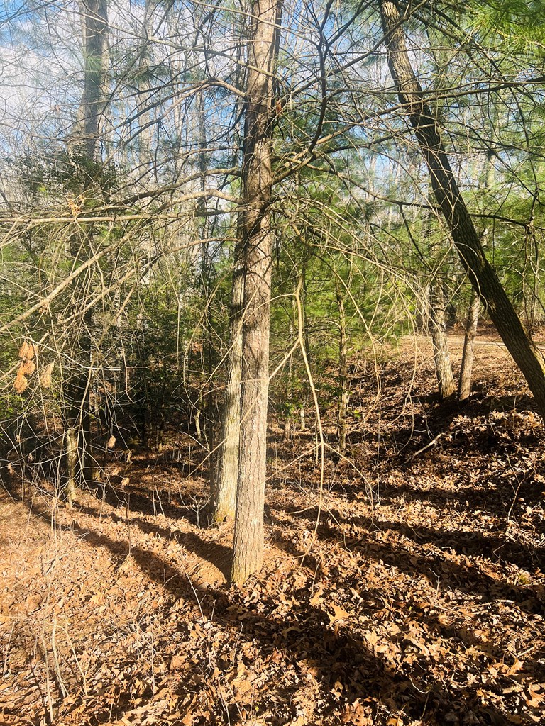 0 Ford Lane Murphy, NC 28906 - Photo 8 of 20