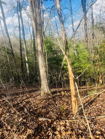 $39,000 | 0 Ford Lane, Murphy, NC 28906