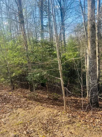 $39,000 | 0 Ford Lane, Murphy, NC 28906