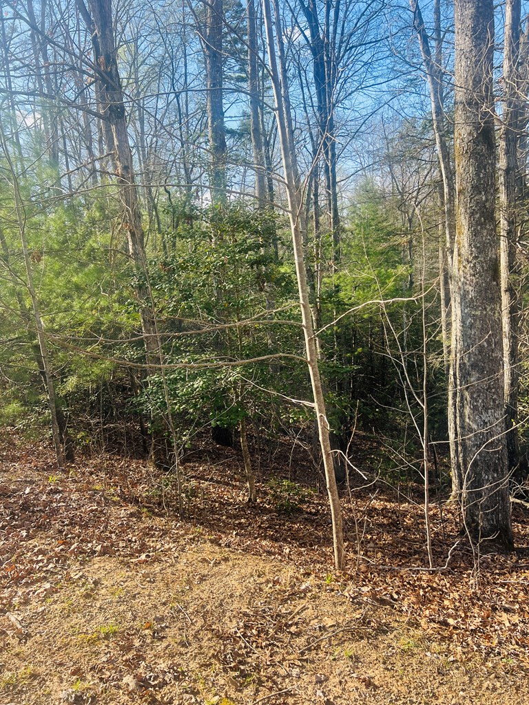 0 Ford Lane Murphy, NC 28906 - Photo 10 of 20