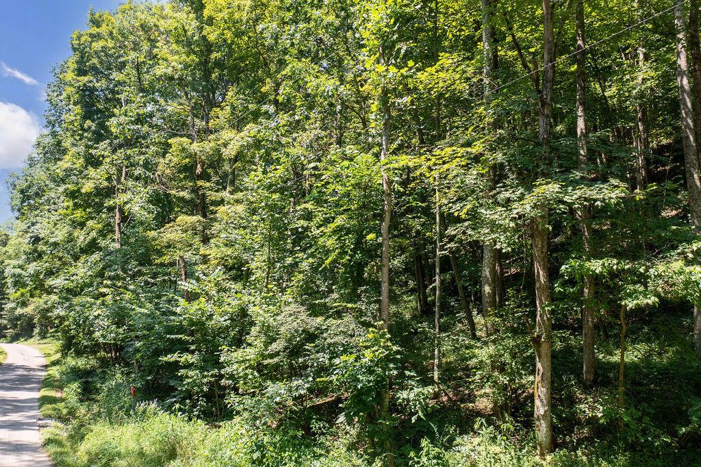 24272 Conrad Road Laurelville, OH 43135 - Photo 17 of 32 17-Road View-2