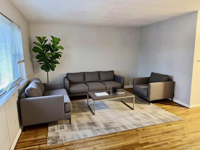 2832 Harding Avenue Bronx, NY 10465 - Photo 2 of 23 a living room with furniture and a potted plant