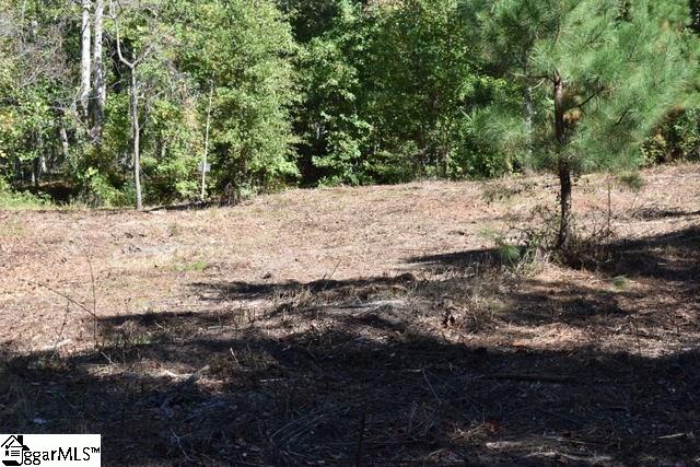 115 Mattie Campbell Road, Unit LOT 5 Honea Path, SC 29654 - Photo 11 of 18