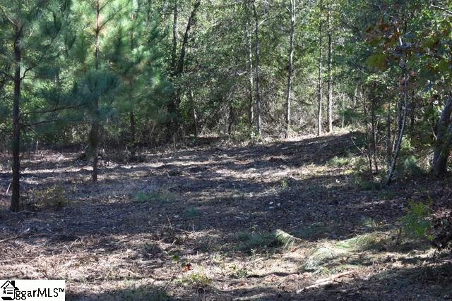 115 Mattie Campbell Road, Unit LOT 5 Honea Path, SC 29654 - Photo 12 of 18