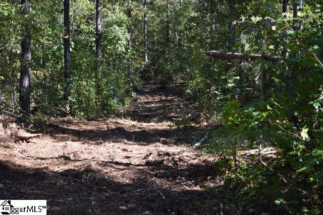 115 Mattie Campbell Road, Unit LOT 5 Honea Path, SC 29654 - Photo 14 of 18