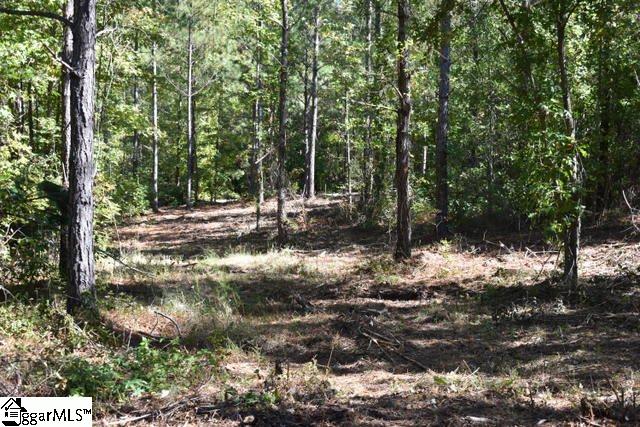 115 Mattie Campbell Road, Unit LOT 5 Honea Path, SC 29654 - Photo 17 of 18