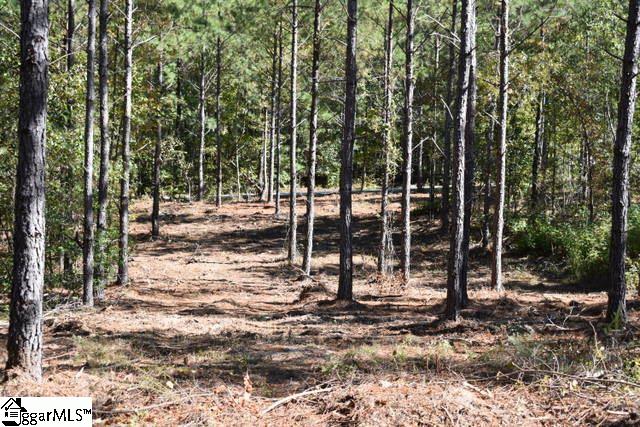 115 Mattie Campbell Road, Unit LOT 5 Honea Path, SC 29654 - Photo 18 of 18