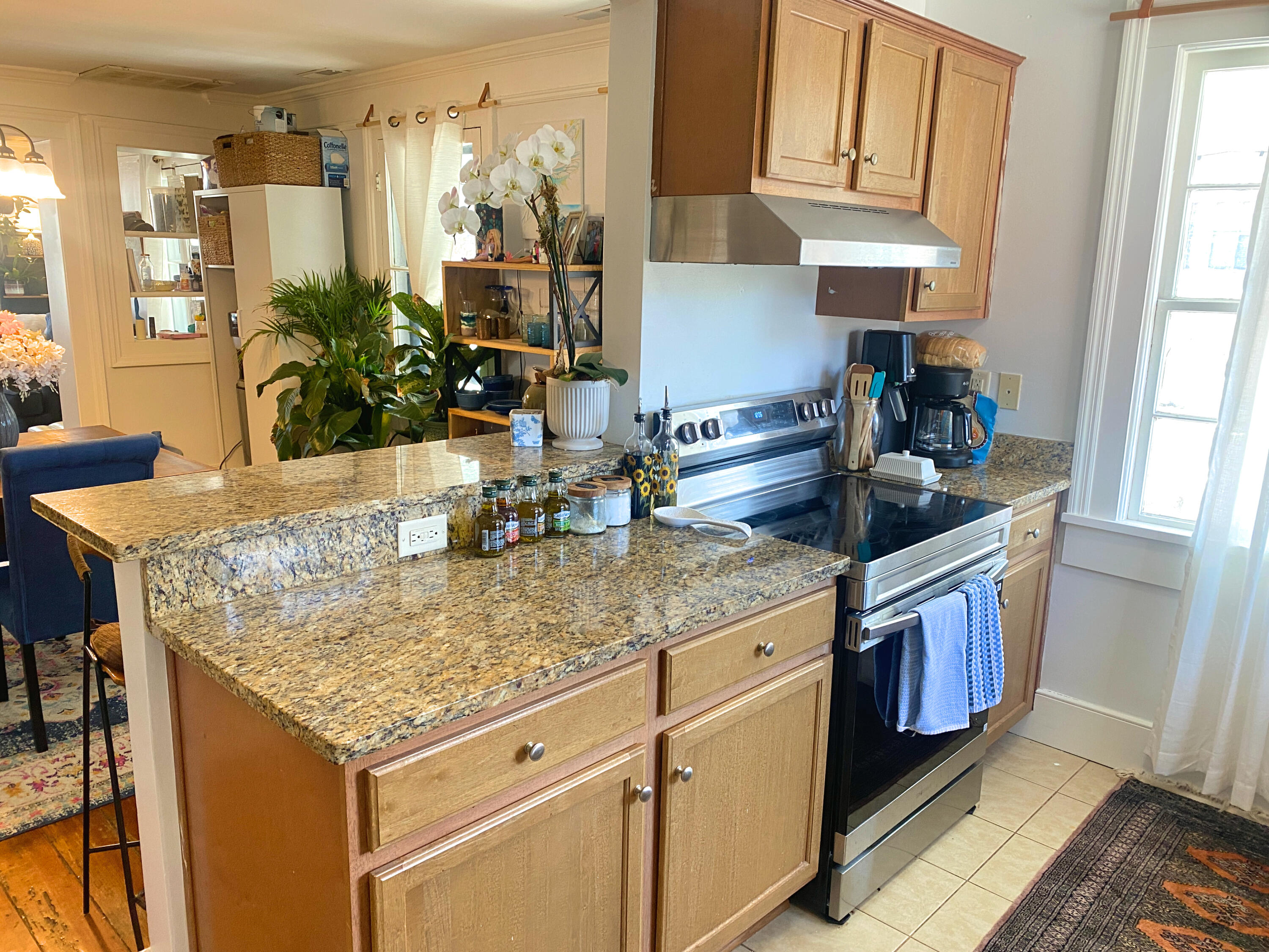 9 Gadsden Street Charleston, SC 29401 - Photo 31 of 60 9 Gadsden St (24)